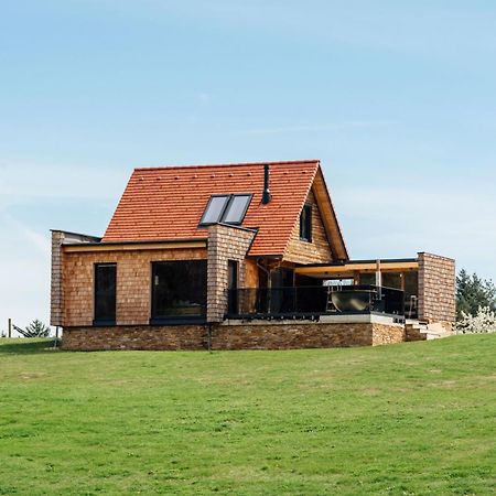 Chalet "Troadkostn" Mit Finnischer Panoramasauna & Edelstahl Hot Tub Eibiswald 外观 照片